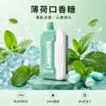 LANA-Ultra-II-16000口一次性電子菸 - 薄荷口香糖口味