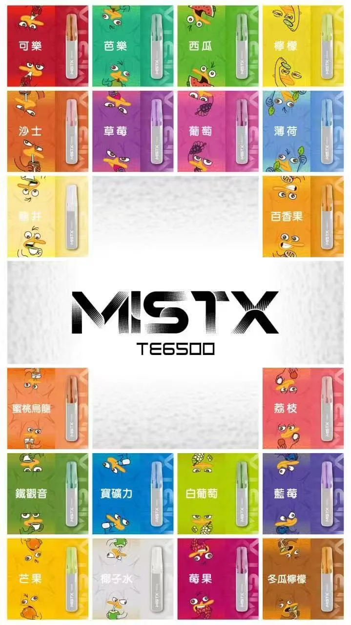 MISTX TE6500 鴨嘴獸拋棄式電子煙 10種口味可選