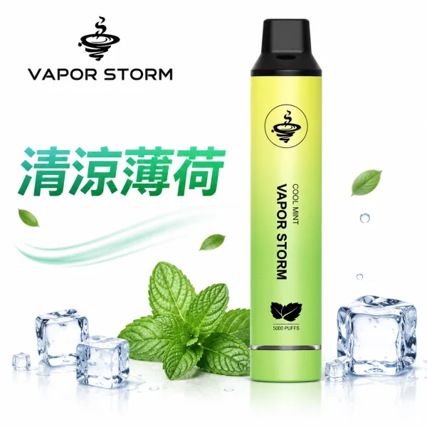 VAPOR STORM 風暴 5000口 一次性電子煙 清涼薄荷口味