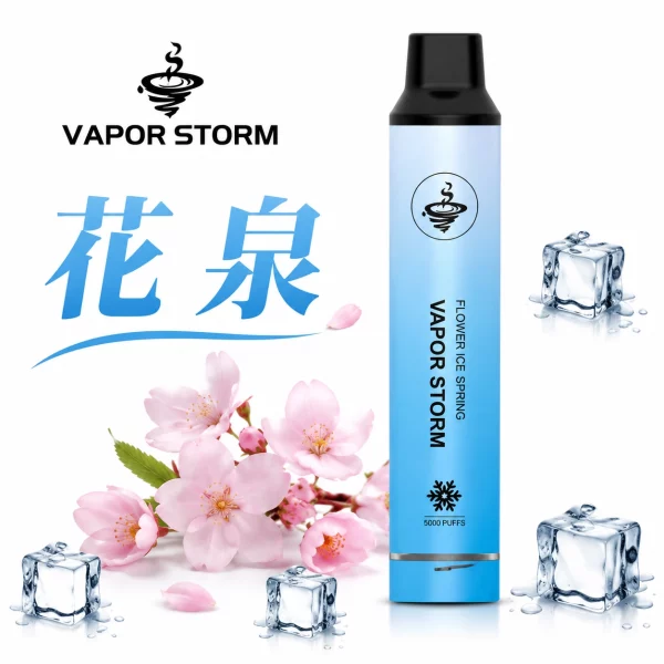 VAPOR STORM 風暴 5000口 一次性電子煙 花泉口味