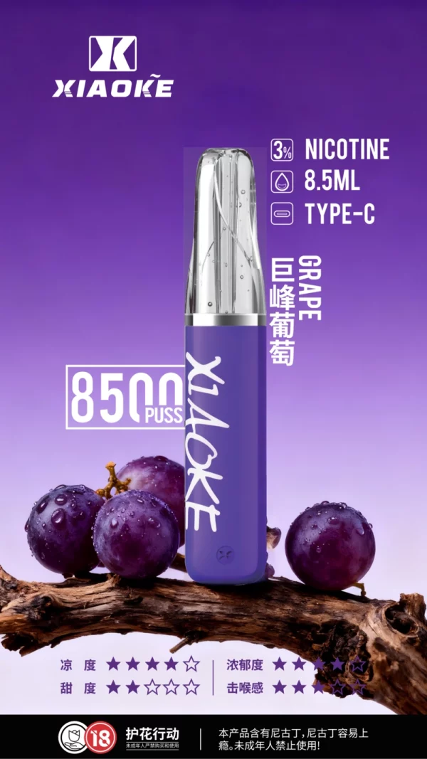 一次性電子煙｜XIAOKE 梟客 8500口 - 巨峰葡萄口味