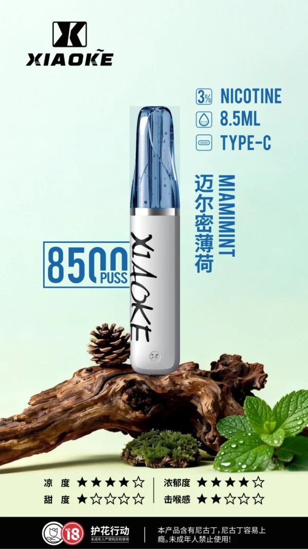 一次性電子煙｜XIAOKE 梟客 8500口 - 薄荷口味