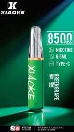 一次性電子煙｜XIAOKE 梟客 8500口 - 青提口味