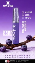 一次性電子煙｜XIAOKE 梟客 8500口 - 黑加侖藍莓口味