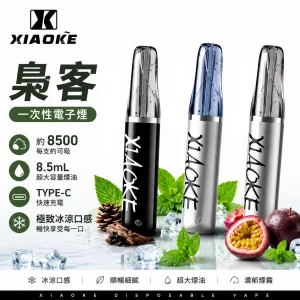 梟客 XIAOKE 8500口 一次性電子煙