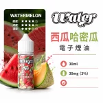 美國 WATER 瓦特 小煙油 西瓜哈密瓜口味